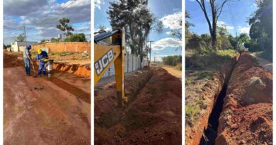 Iniciativa é dividida em quatro frentes de trabalho — Norte, Sul, Entorno do Distrito Federal e Região Metropolitana de Goiânia (Foto: Saneago)
