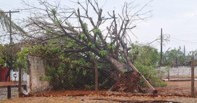 Equatorial Goiás alerta para temporais com ventos fortes em Luziânia e região do Entorno
