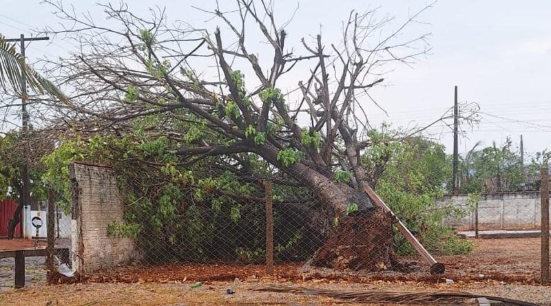 Equatorial Goiás alerta para temporais com ventos fortes em Luziânia e região do Entorno