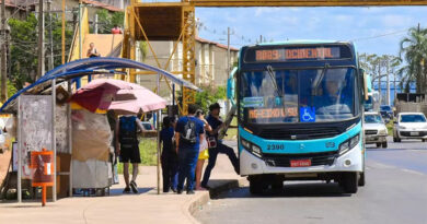 Ônibus do transporte coletivo na região do Entorno do DF — Foto: Secom Governo de Goiás/Divulgação