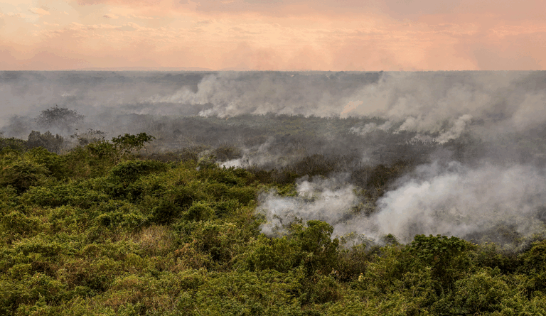 Defesa Civil Alerta pode ser acionado em incêndios florestais no Centro-Oeste (Foto: Agência Brasil)