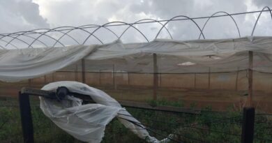 Cidades goianas podem sentir fortes chuvas a partir desta sexta-feira (10), aponta previsão