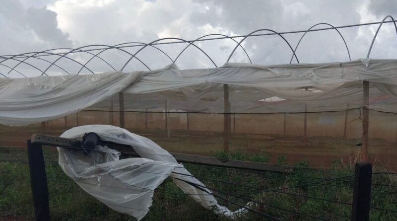 Cidades goianas podem sentir fortes chuvas a partir desta sexta-feira (10), aponta previsão