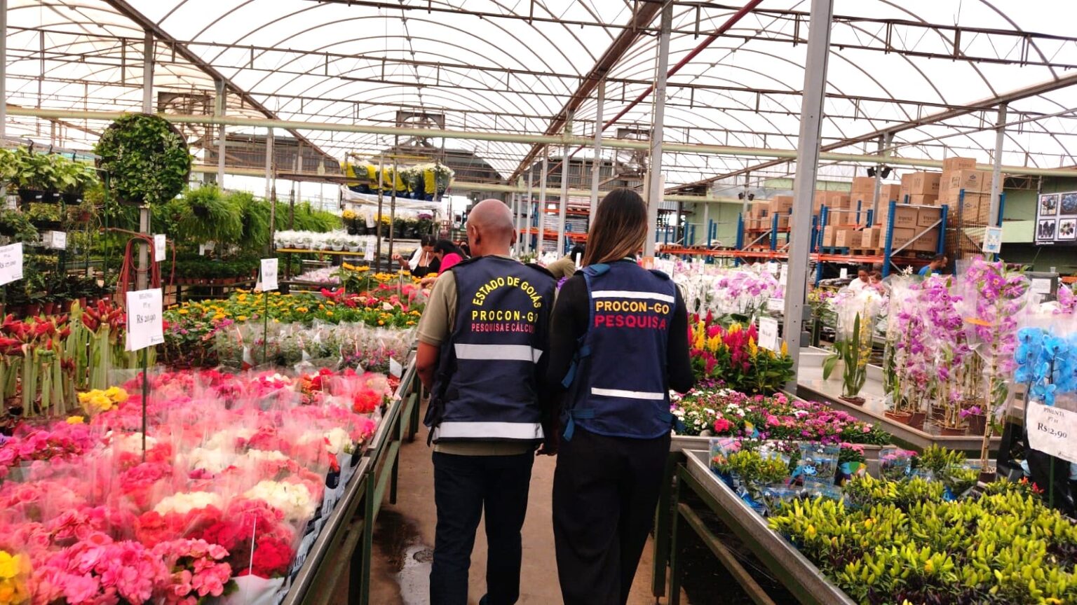 No preço do buquê (de uma dúzia) de rosas vermelhas foi encontrada oscilação anual de mais de 75%, vendido por R$ 48,22 em 2024 e R$ 85,06, em 2025 (Fotos: Procon-GO)