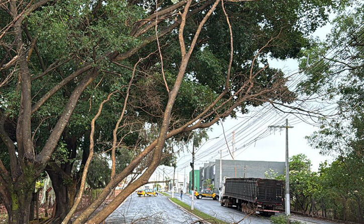 concessionária reforça que as rajadas de vento também podem derrubar árvores e causar impactos adicionais à rede