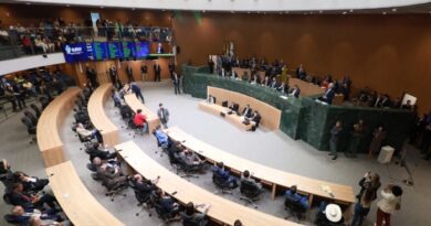 PLENÁRIO DA ASSEMBLEIA LEGISLATIVA DE GOIÁS (Foto: Alego)