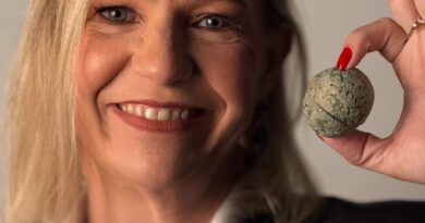 Premiação da professora Karine Lopes na COP 30 evidencia alto nível de formação da equipe docente das Escolas do Futuro de Goiás (Foto: Secti)