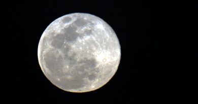 (Foto: divulgação)