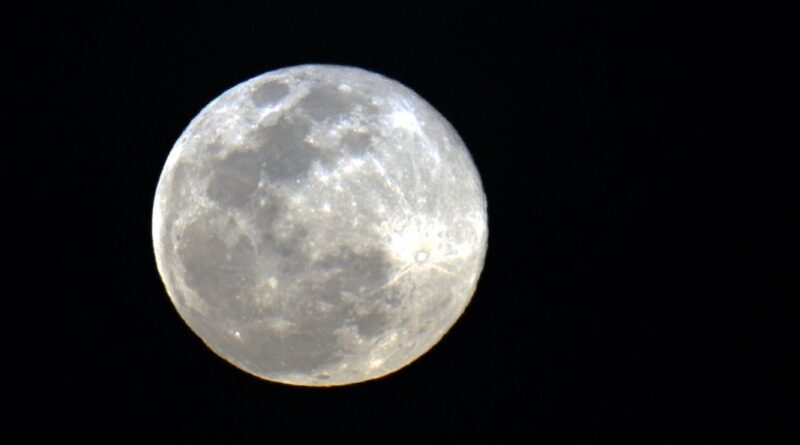 (Foto: divulgação)