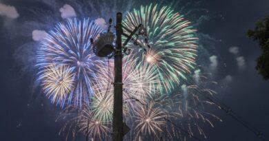 Estilhaços quentes dos fogos de artifício podem iniciar incêndios ao caírem sobre transformadores.