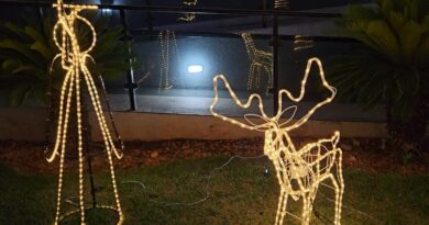 Equatorial Goiás reforça segurança em decorações natalinas com produtos certificados