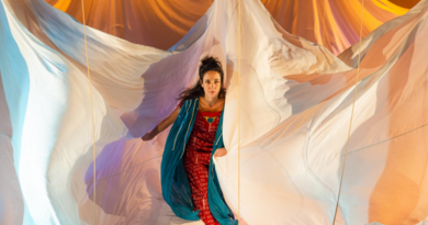 À Beira do Sol é um dos espetáculos da Ocupação Os Buriti - 30 Anos, no CCBB Brasília - Foto de Diego Bresani