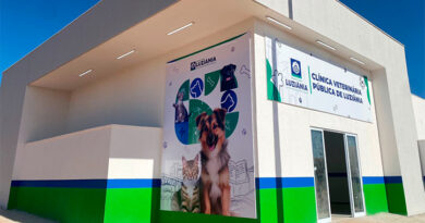 Clinica Veterininária Pública de Luziânia oferece Telemedicina com Especialidades Médicas para Pets
