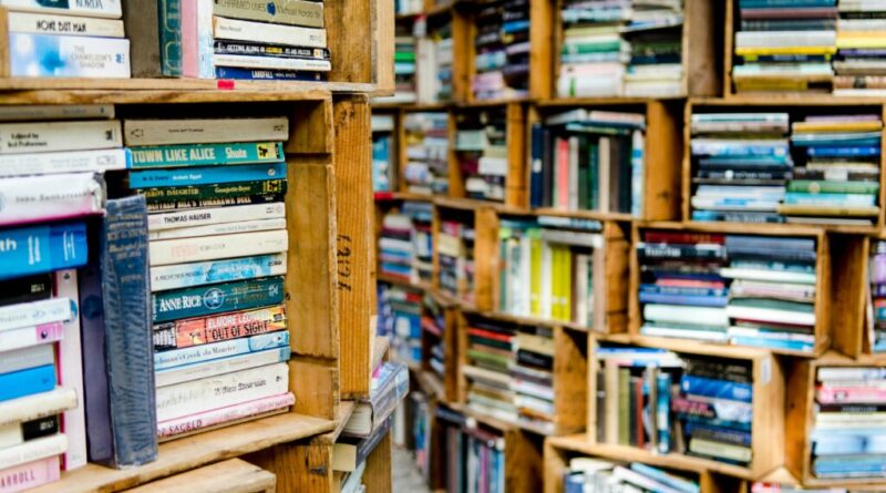 De Machado de Assis a Fernando Pessoa: os 10 livros em domínio público mais baixados do Brasil