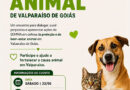 Secretaria de Meio Ambiente promove 1º Encontro da Causa Animal em Valparaíso de Goiás