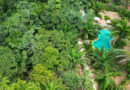 Ecoturismo cresce 30% ao ano no Brasil e vira modelo de negócio para preservação e sustentabilidade