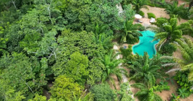 Ecoturismo cresce 30% ao ano no Brasil e vira modelo de negócio para preservação e sustentabilidade