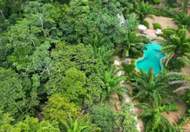 Ecoturismo cresce 30% ao ano no Brasil e vira modelo de negócio para preservação e sustentabilidade