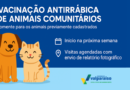 Zoonose realiza a 2ª FEIRA DE ADOÇÃO e abre cadastro para vacinação antirrábica 2026