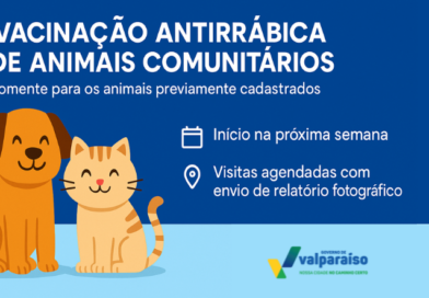 Zoonose realiza a 2ª FEIRA DE ADOÇÃO e abre cadastro para vacinação antirrábica 2026