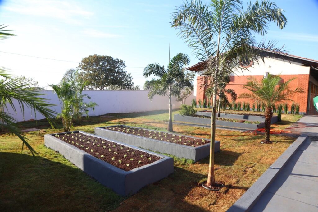Projetos arquitetônicos das escolas priorizam a ampliação de áreas permeáveis e a arborização, promovendo conforto térmico natural