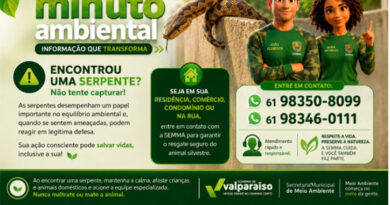 SEMMA reforça importância da preservação de serpentes após resgate de Boipeva em Valparaíso