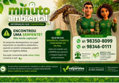 SEMMA reforça importância da preservação de serpentes após resgate de Boipeva em Valparaíso