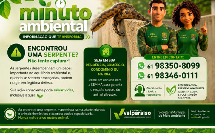 SEMMA reforça importância da preservação de serpentes após resgate de Boipeva em Valparaíso