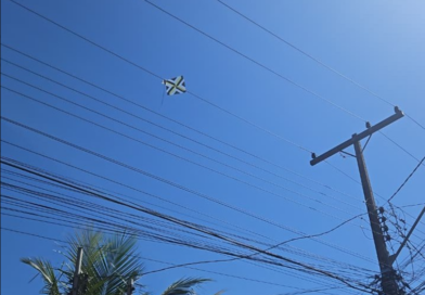 Pipas causam mil ocorrências na rede elétrica em Goiás e concentram 85% dos casos em 15 cidades