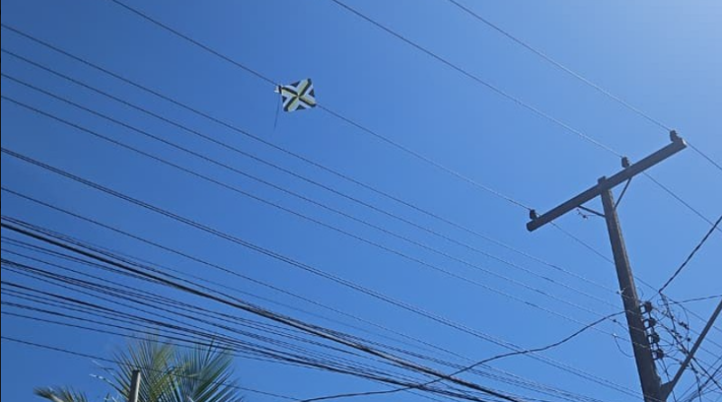 Pipas causam mil ocorrências na rede elétrica em Goiás e concentram 85% dos casos em 15 cidades
