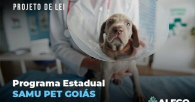 Criação de serviço de atendimento veterinário emergencial é tema de projeto de lei em tramitação na Assembleia Legislativa