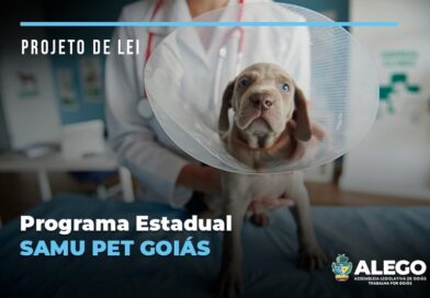 Criação de serviço de atendimento veterinário emergencial é tema de projeto de lei em tramitação na Assembleia Legislativa
