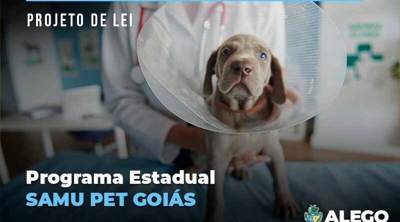 Criação de serviço de atendimento veterinário emergencial é tema de projeto de lei em tramitação na Assembleia Legislativa