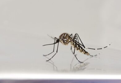 Goiás registra alta de 14% nos casos de dengue e já soma mais de 93 mil infecções em 2026
