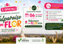 Secretaria de Meio Ambiente lança campanha “Valparaíso em Flor” para reunir histórias e fotografias dos ipês da cidade