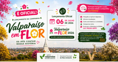 Secretaria de Meio Ambiente lança campanha “Valparaíso em Flor” para reunir histórias e fotografias dos ipês da cidade