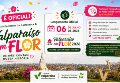 Secretaria de Meio Ambiente lança campanha “Valparaíso em Flor” para reunir histórias e fotografias dos ipês da cidade