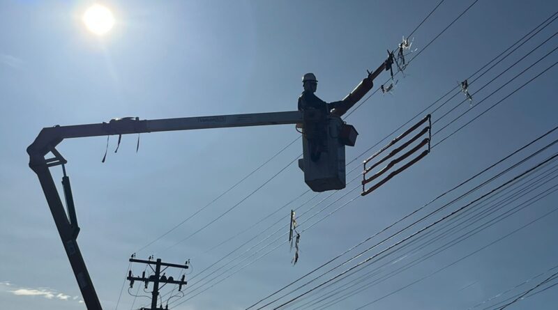 Pipa no alimentador: entenda como uma brincadeira inocente pode deixar milhares de pessoas sem energia