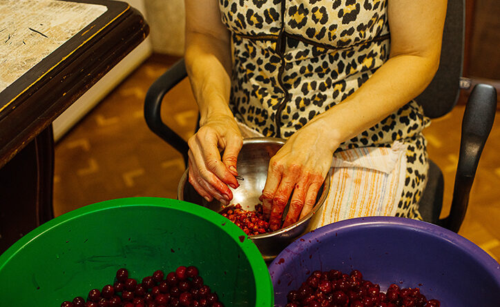 Produção de uva dobra em quatro anos em Goiás, impulsionando a vitivinicultura e o surgimento de novos destinos