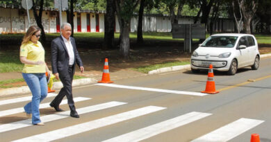 Volta às aulas em Goiás: respeitar a faixa de pedestres salva vidas