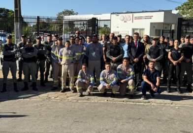 Equatorial Goiás apreende quase 700kg de cabos e materiais em ação com forças policiais