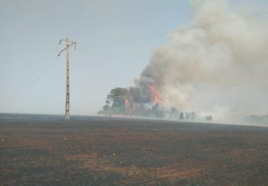 Queimadas na rede elétrica afetam quase 60 mil clientes em Goiás e Equatorial intensifica monitoramento