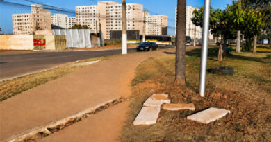 Ricardo Viana solicita recuperação de calçada e troca de lâmpadas no Parque Rio Branco