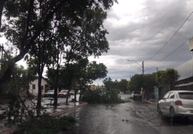 Equatorial Goiás reforça atuação preventiva diante do alerta de temporais em quase 160 municípios a partir desta terça-feira (8)