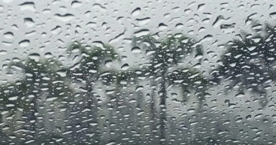Frente fria deve trazer chuva forte, raios e ventos de até 60 km/h para Goiás