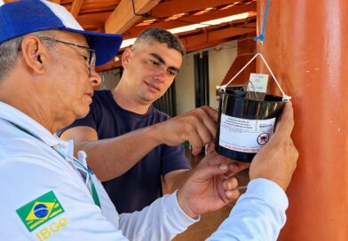 Combate ao Aedes aegypti ganha reforço contra dengue e chikungunya