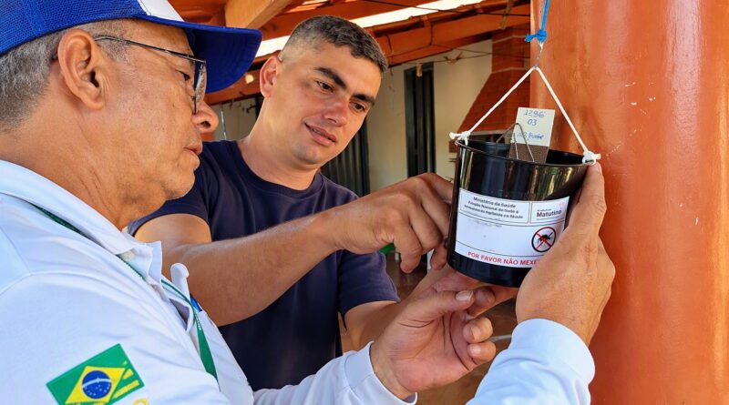 Combate ao Aedes aegypti ganha reforço contra dengue e chikungunya