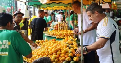 Festa do Pequi em Goiânia terá almoço gratuito, música e desafio gastronômico