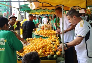 Festa do Pequi em Goiânia terá almoço gratuito, música e desafio gastronômico