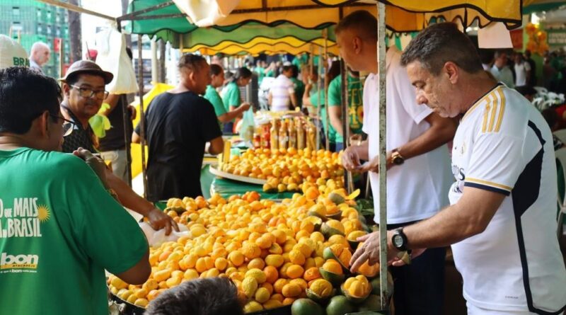 Festa do Pequi em Goiânia terá almoço gratuito, música e desafio gastronômico